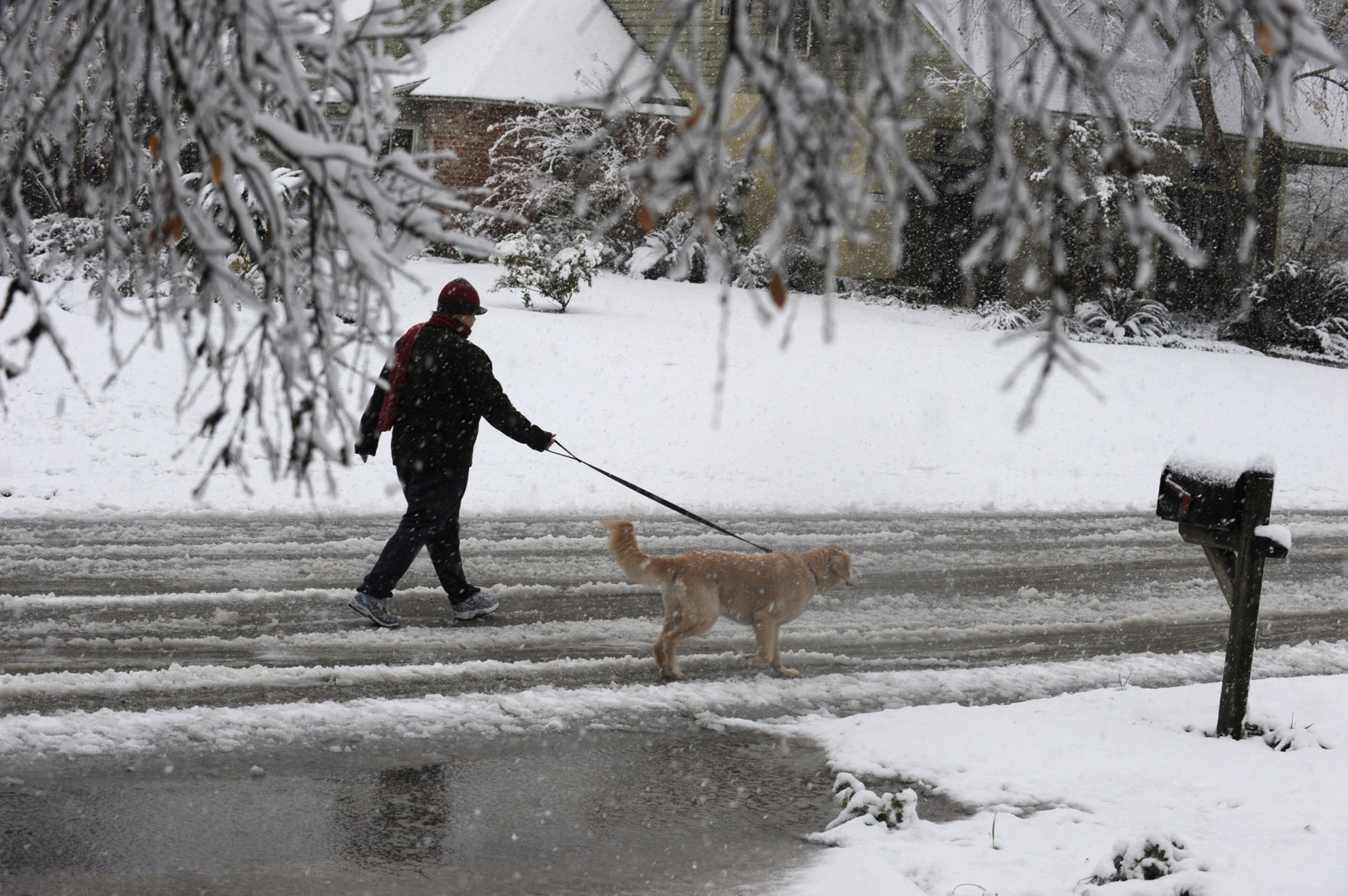 met snowy pd 136.jpg